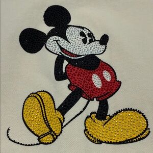 Disneyland Mickey hooded zipup sweatshirt